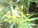 IMG_20140603_170845