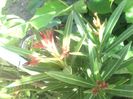 IMG_20140603_170834