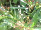 IMG_20140603_170840