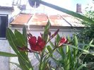 IMG_20140603_170821