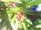 IMG_20140603_170826