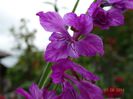 DSC04002