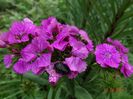 DSC04038