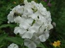 DSC04029