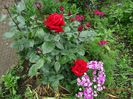 DSC04017