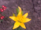 030620141819