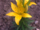030620141822