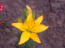 030620141823