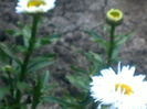 030620141826