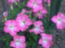030620141830