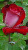 DSC01390