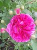20140602_144543 - Copie