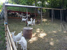 20140604_100056