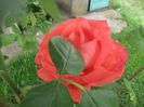 DSCF2714