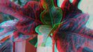 20140604_122352