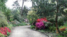 DSC01808
