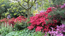 DSC01819