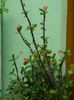 DSCN7033