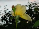 DSCN7042