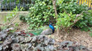 DSC01898