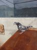 20140602_170626