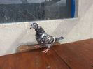 20140602_170635