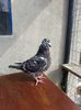20140602_170657