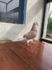 20140602_170903