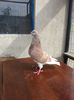 20140602_170909
