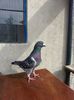 20140602_171018