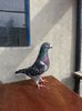 20140602_171020