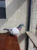 20140602_171055