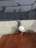 20140602_171107