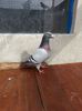 20140602_171125