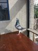 20140602_171343