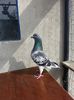 20140602_171347
