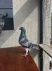 20140602_171846