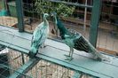 DSC05601