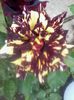 20140605_112009