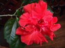 DSCF1225