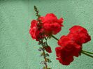 DSCN7183