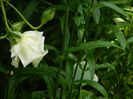 DSCN7197