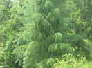 in natura 014