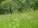 in natura 018
