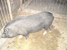 DSCN0913