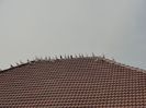 DSC01383