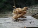 20140605_154325