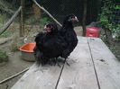 20140605_152408