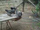 20140605_145404