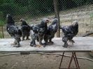 20140605_144207